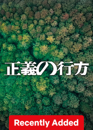Seiginoyukue poster