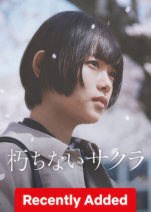 Sakura poster